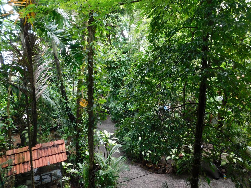 Green Woods Bethlehem Kochi ภายนอก รูปภาพ